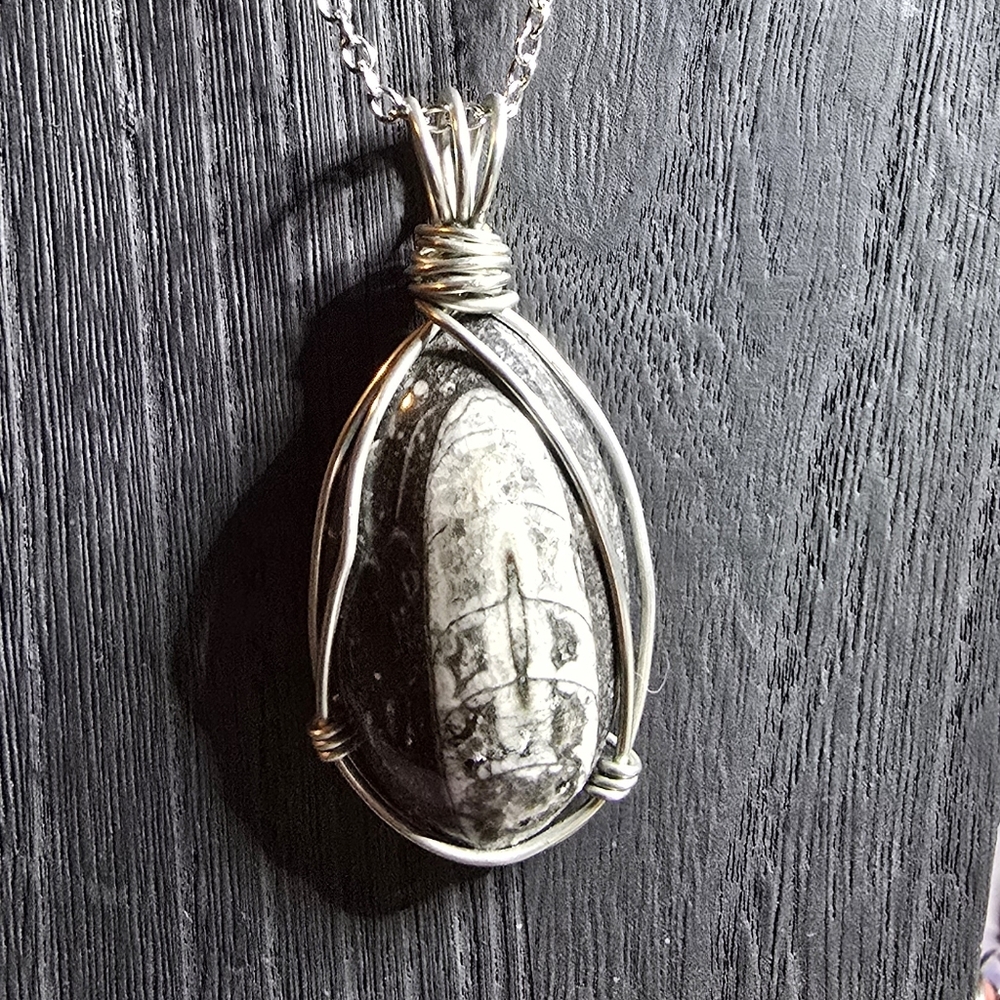 2 wire-wrapped Orthoceras Fossil pendants Only